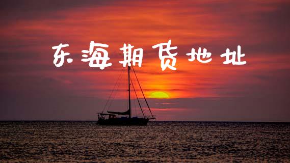 东海期货地址_https://www.gongyisiwang.com_焦炭期货手续费_第1张