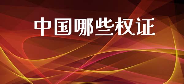 中国哪些权证_https://www.gongyisiwang.com_股指期货交易手续费_第1张