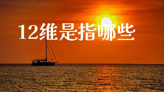 12维是指哪些_https://www.gongyisiwang.com_股指期货_第1张