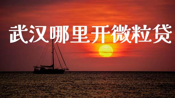 武汉哪里开微粒贷_https://www.gongyisiwang.com_股指期货_第1张