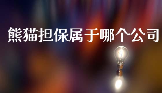 熊猫担保属于哪个公司_https://www.gongyisiwang.com_股指期货_第1张