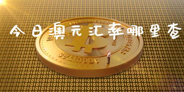 今日澳元汇率哪里查_https://www.gongyisiwang.com_原油期货_第1张