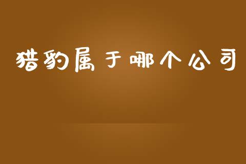 猎豹属于哪个公司_https://www.gongyisiwang.com_道指_第1张
