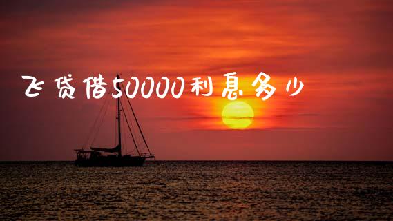 飞贷借50000利息多少_https://www.gongyisiwang.com_恒指期货_第1张