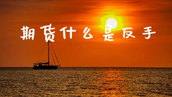 期货什么是反手_https://www.gongyisiwang.com_广发期货手续费_第1张