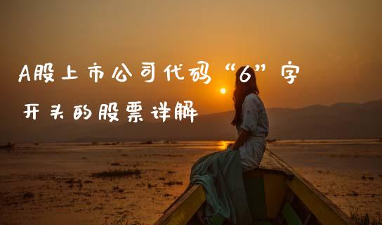 A股上市公司代码“6”字开头的股票详解_https://www.gongyisiwang.com_股指期货交易手续费_第1张