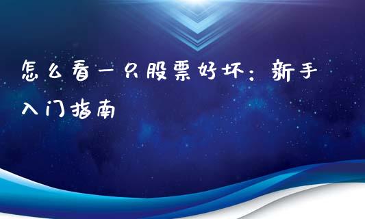 怎么看一只股票好坏：新手入门指南_https://www.gongyisiwang.com_期货公司手续费排名_第1张