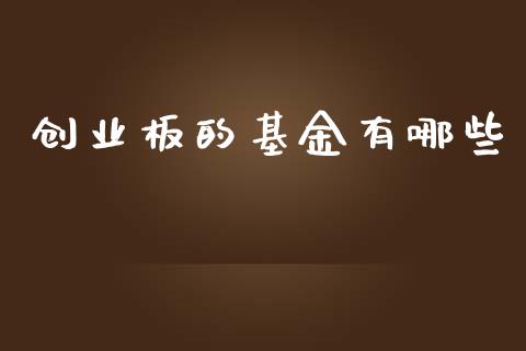 创业板的基金有哪些_https://www.gongyisiwang.com_道指_第1张