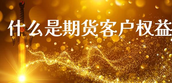 什么是期货客户权益_https://www.gongyisiwang.com_焦炭期货手续费_第1张