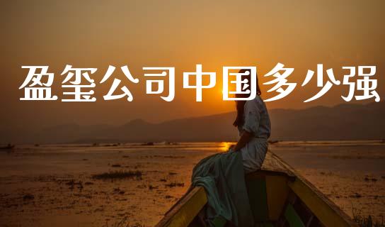 盈玺公司中国多少强_https://www.gongyisiwang.com_道指_第1张