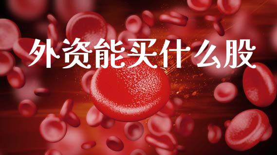 外资能买什么股_https://www.gongyisiwang.com_原油期货_第1张