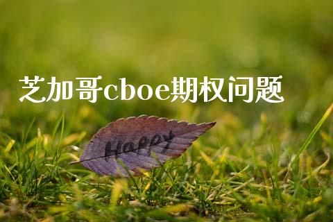 芝加哥cboe期权问题_https://www.gongyisiwang.com_原油期货_第1张