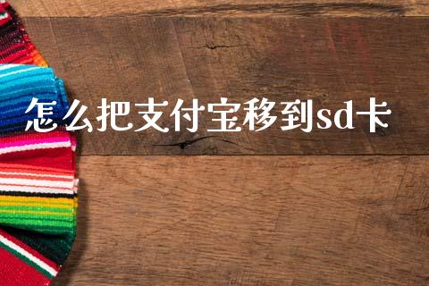 怎么把支付宝移到sd卡_https://www.gongyisiwang.com_股指期货交易手续费_第1张