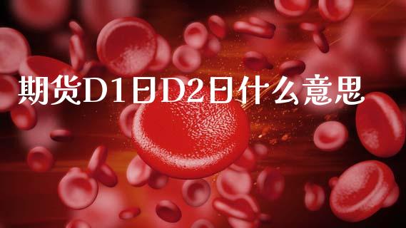 期货D1日D2日什么意思_https://www.gongyisiwang.com_股指期货交易手续费_第1张