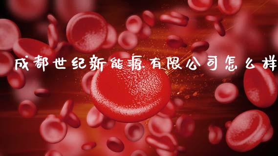 成都世纪新能源有限公司怎么样_https://www.gongyisiwang.com_恒指期货_第1张