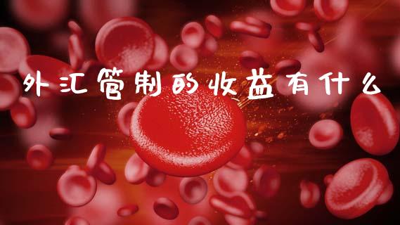 外汇管制的收益有什么_https://www.gongyisiwang.com_股指期货_第1张