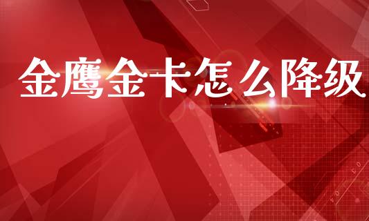 金鹰金卡怎么降级_https://www.gongyisiwang.com_道指_第1张