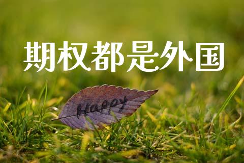 期权都是外国_https://www.gongyisiwang.com_广发期货手续费_第1张