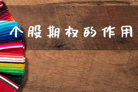 个股期权的作用_https://www.gongyisiwang.com_道指_第1张
