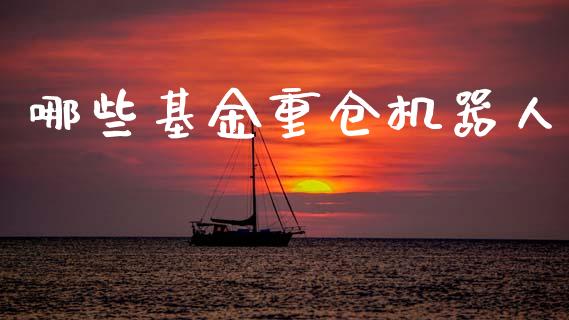 哪些基金重仓机器人_https://www.gongyisiwang.com_股指期货交易手续费_第1张