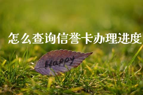 怎么查询信誉卡办理进度_https://www.gongyisiwang.com_原油期货_第1张