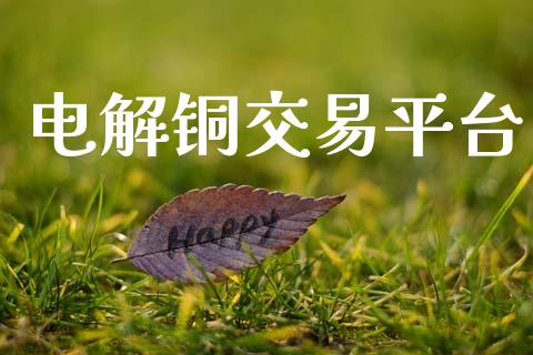 电解铜交易平台_https://www.gongyisiwang.com_恒指期货_第1张