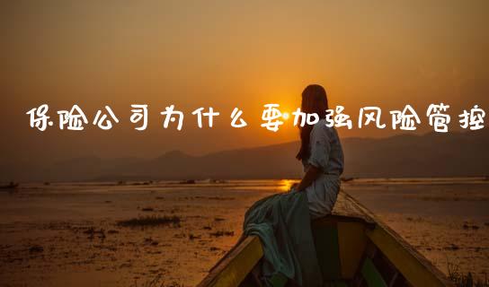 保险公司为什么要加强风险管控_https://www.gongyisiwang.com_期货公司手续费排名_第1张