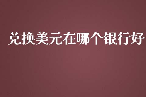 兑换美元在哪个银行好_https://www.gongyisiwang.com_原油期货_第1张