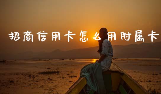 招商信用卡怎么用附属卡_https://www.gongyisiwang.com_焦炭期货手续费_第1张