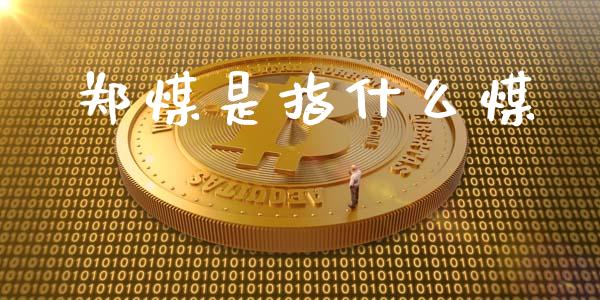 郑煤是指什么煤_https://www.gongyisiwang.com_道指_第1张