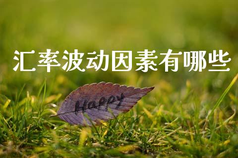 汇率波动因素有哪些_https://www.gongyisiwang.com_恒指期货_第1张