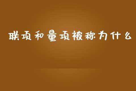 联项和量项被称为什么_https://www.gongyisiwang.com_广发期货手续费_第1张