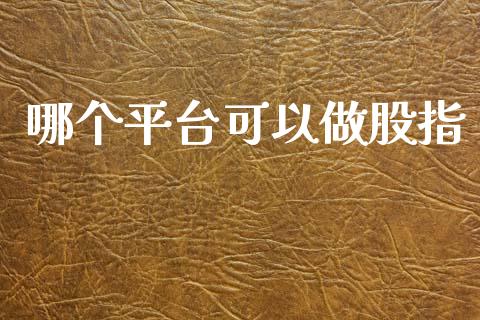 哪个平台可以做股指_https://www.gongyisiwang.com_道指_第1张