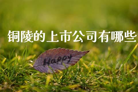铜陵的上市公司有哪些_https://www.gongyisiwang.com_道指_第1张