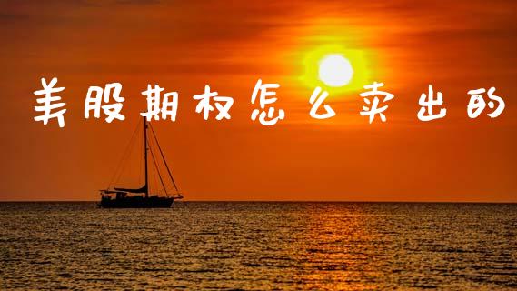 美股期权怎么卖出的_https://www.gongyisiwang.com_恒指期货_第1张
