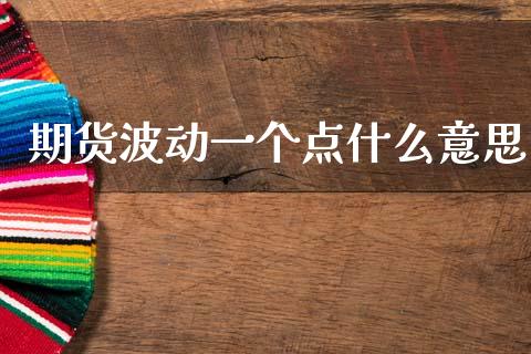 期货波动一个点什么意思_https://www.gongyisiwang.com_股指期货交易手续费_第1张