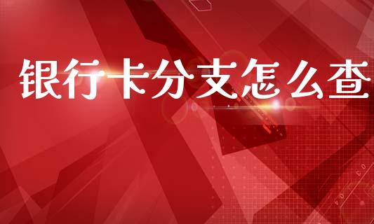银行卡分支怎么查_https://www.gongyisiwang.com_广发期货手续费_第1张