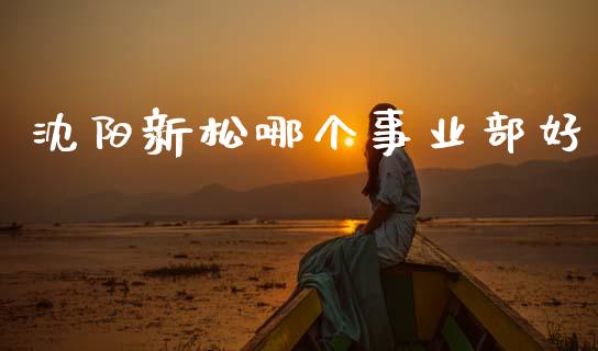 沈阳新松哪个事业部好_https://www.gongyisiwang.com_原油期货_第1张