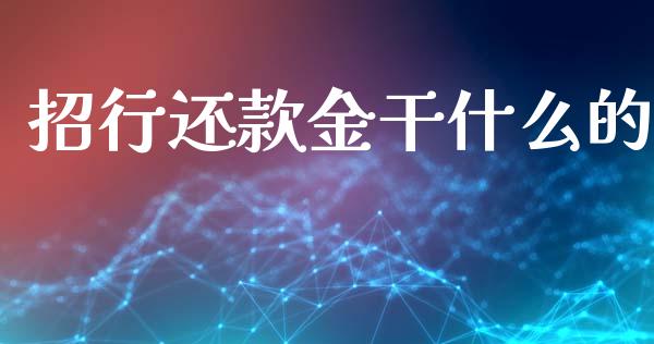 招行还款金干什么的_https://www.gongyisiwang.com_股指期货交易手续费_第1张