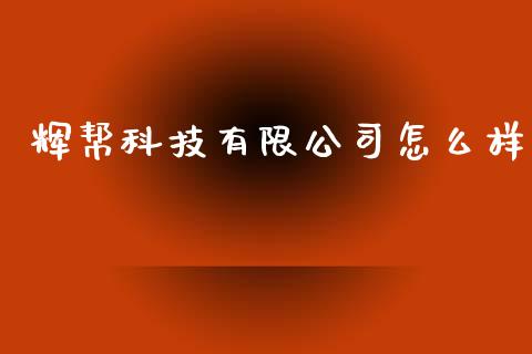 辉帮科技有限公司怎么样_https://www.gongyisiwang.com_广发期货手续费_第1张
