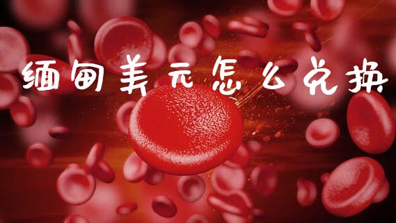 缅甸美元怎么兑换_https://www.gongyisiwang.com_焦炭期货手续费_第1张