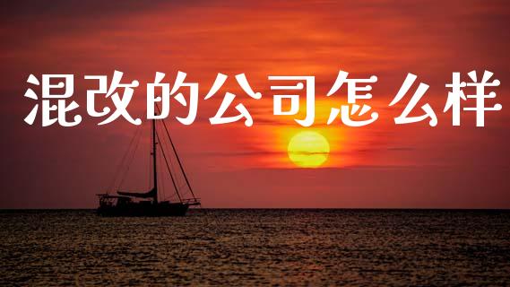 混改的公司怎么样_https://www.gongyisiwang.com_股指期货_第1张