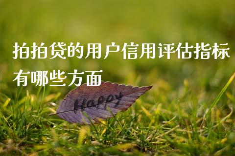 拍拍贷的用户信用评估指标有哪些方面_https://www.gongyisiwang.com_股指期货_第1张