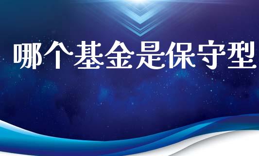 哪个基金是保守型_https://www.gongyisiwang.com_焦炭期货手续费_第1张