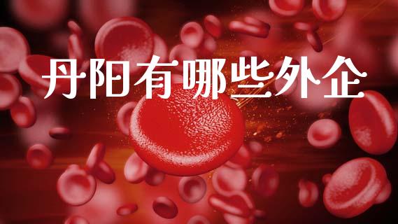 丹阳有哪些外企_https://www.gongyisiwang.com_期货公司手续费排名_第1张