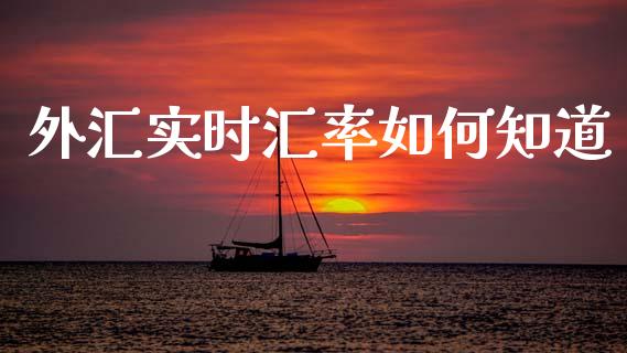 外汇实时汇率如何知道_https://www.gongyisiwang.com_期货公司手续费排名_第1张