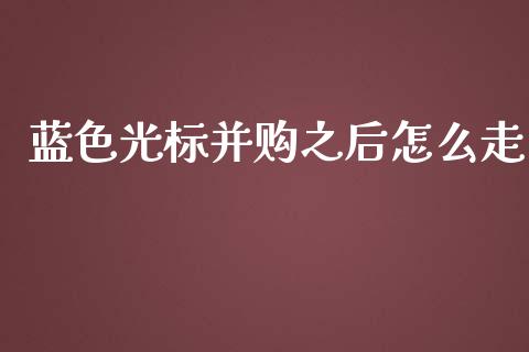 蓝色光标并购之后怎么走_https://www.gongyisiwang.com_焦炭期货手续费_第1张