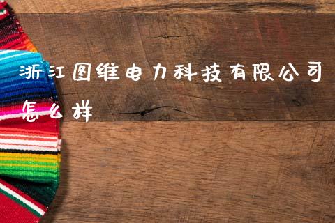 浙江图维电力科技有限公司怎么样_https://www.gongyisiwang.com_股指期货_第1张