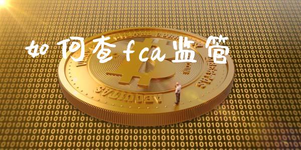 如何查fca监管_https://www.gongyisiwang.com_道指_第1张