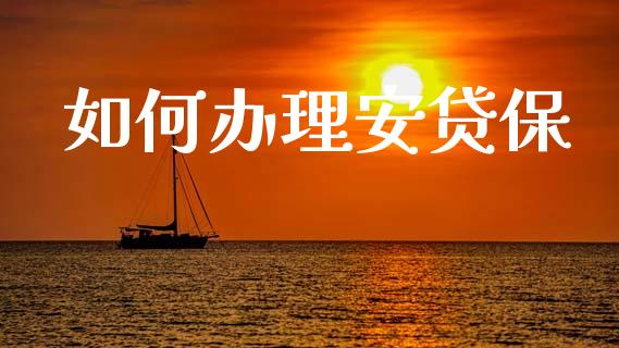 如何办理安贷保_https://www.gongyisiwang.com_期货公司手续费排名_第1张